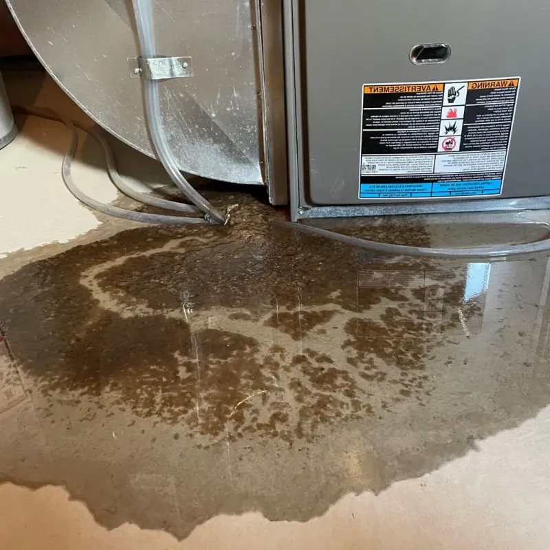 Pipe Burst and Leak Restoration in Hunt Valley, MD